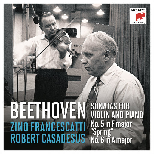 芙宁娜调教成yin荡玩物
